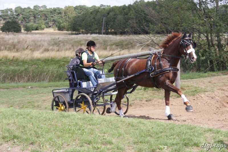 20080809_134218_0108 Gerti Hylt Laholmsortens LRF