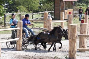 20080809_120742_0001