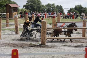 20080809_121636_0008 Camilla Arthursson Billingens Distansridklubb