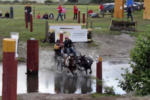 20080809_121944_0011 Camilla Arthursson Billingens Distansridklubb