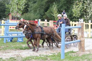 20080809_123908_0048 Rebecca Kristiansson Billingens Distansridklubb