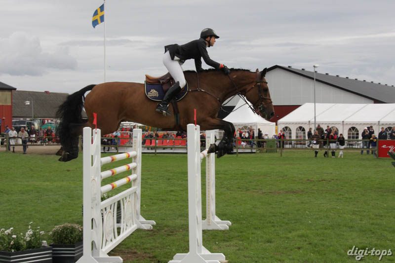 20080828_162438_0022 Merlene Lindblad Corde