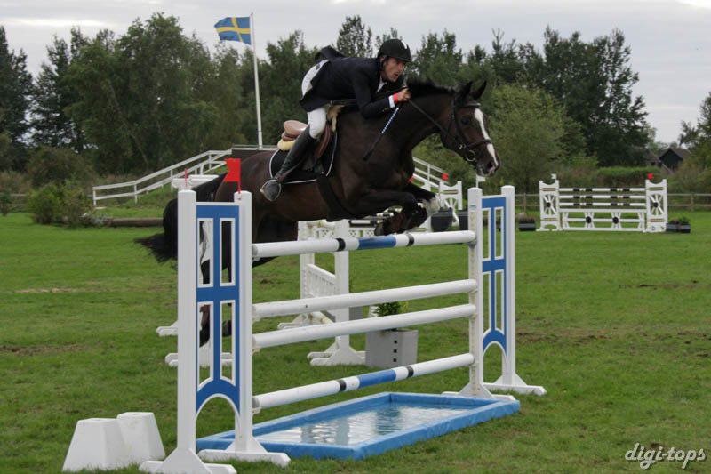 20080828_170640_0252 Niklas Jonsson Amorina