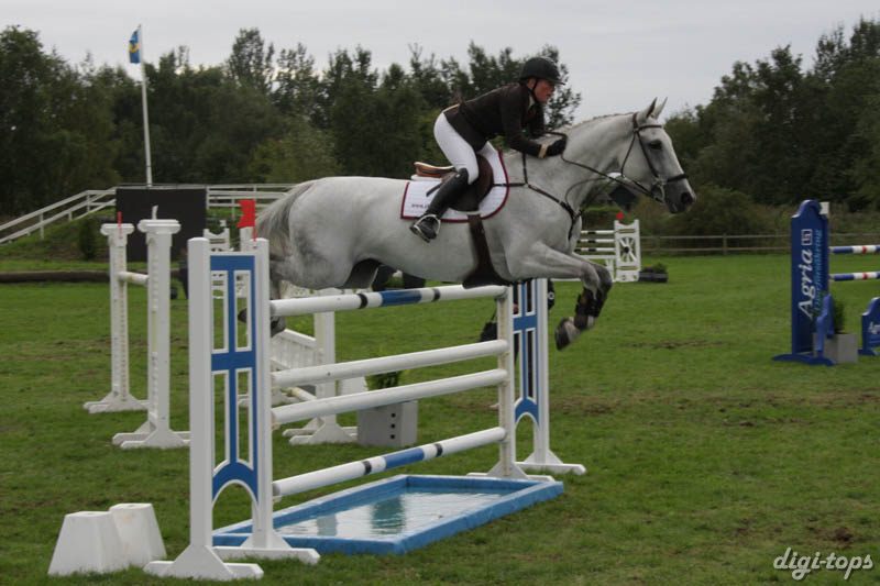 20080828_173558_0408 Sofie Andersson Handsken