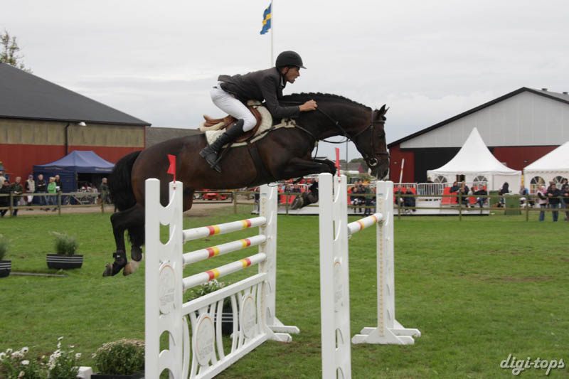 20080828_174530_0458 Niklas Arvidsson Vdl Empire 1115