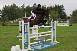 20080828_174424_0453 Jens Fredricson Platini Vdl