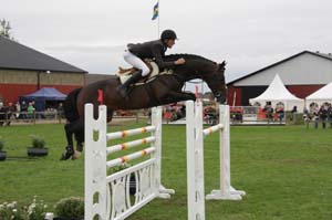 20080828_174530_0458 Niklas Arvidsson Vdl Empire 1115