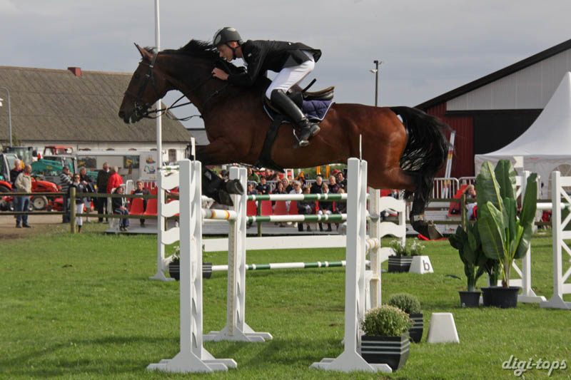 20080828_152450_0260 Erik Stenkil Rom