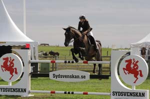 20080828_152116_0243 Catrin Lindh Beckasin