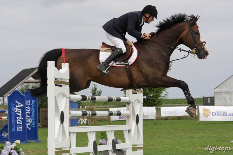 20080828_130210_0119 Svante Johansson Brooklyn Vant Rozenhof