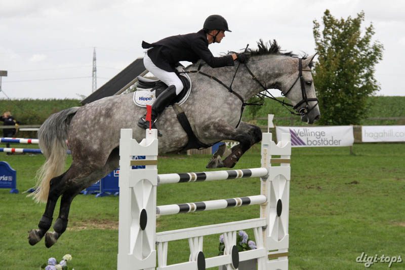 20080828_133924_0203 Fredrik Spetz Madonna