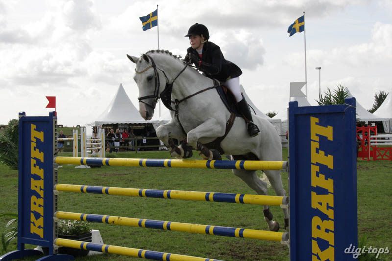 20080829_113138_0410 Rebecca Lindberg Chicago Z