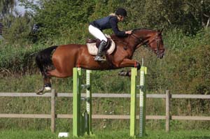 20080829_094358_0037 Eleonor Bellander Diamond