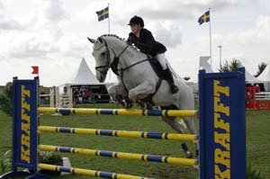 20080829_113138_0410 Rebecca Lindberg Chicago Z