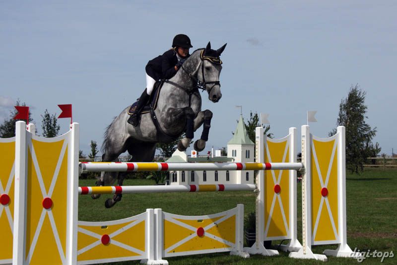 20080829_125250_0590 Sanna Olsson Castillo