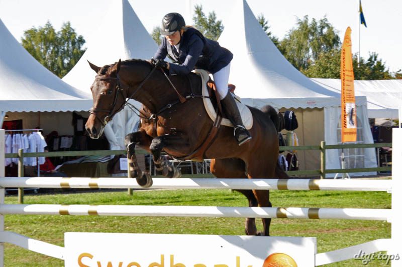 20080830_102300_0120 Stephanie Holmen Landkorn 5