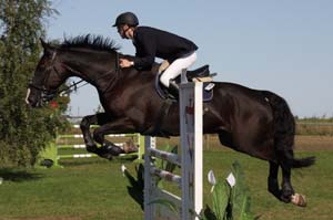 20080830_101402_0076 Niklas Johanesson Figaro