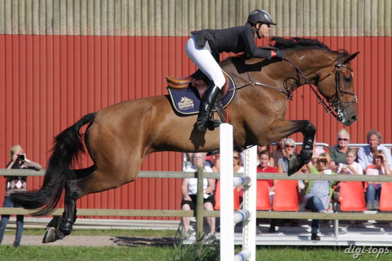 20080830_155118_0987 Marlene Lindblad Corde