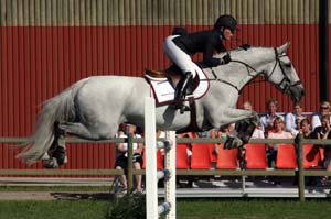 20080830_152746_0849 Sofie Andersson Handsken