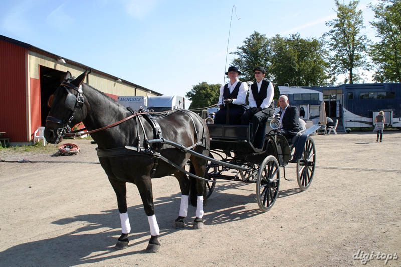 20080831_110504_0004