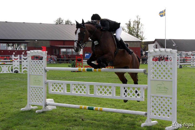 a20080828_100620_0100 Lisa Olsson Pasadena