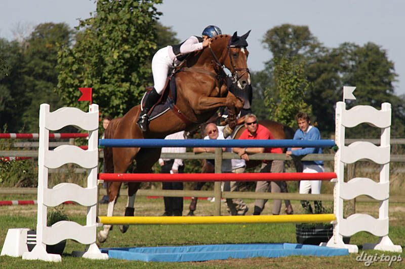 20080831_104534_0247 Kim Krog Spit Fire Equus