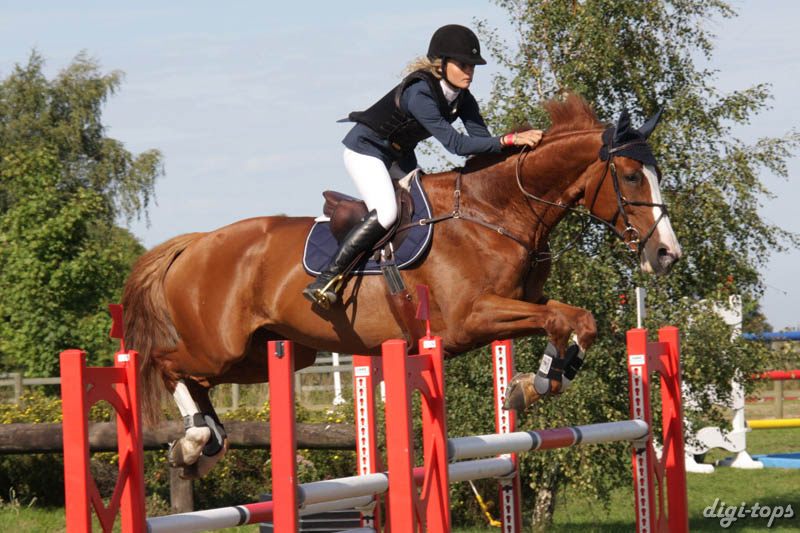 20080831_105738_0311 Petronella Andersson Palanda Z