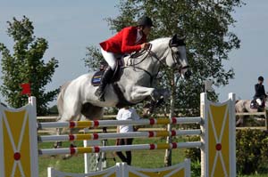 20080831_153020_0007 Henrik Ankarcrona Etrusco