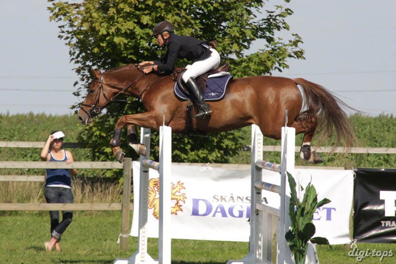 20080831_121930_0112 Pia Levin New Edition