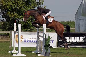 20080831_121140_0065 Elin Hultberg Midsummer