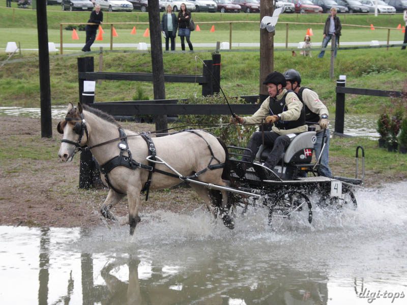 20080920_113424_0011 Peter Koux den