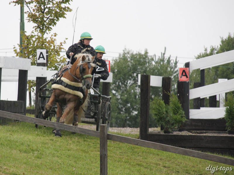 20080920_114856_0029