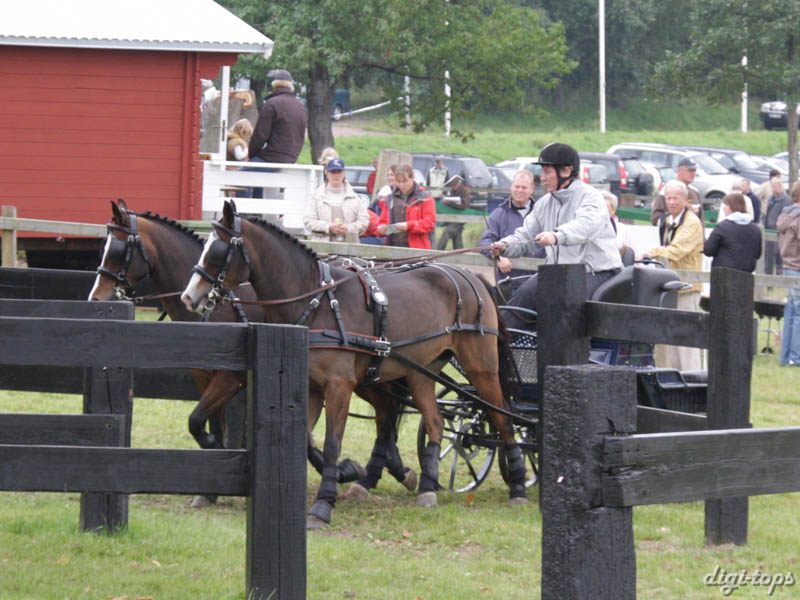 20080920_130252_0060 Marie Nilson swe