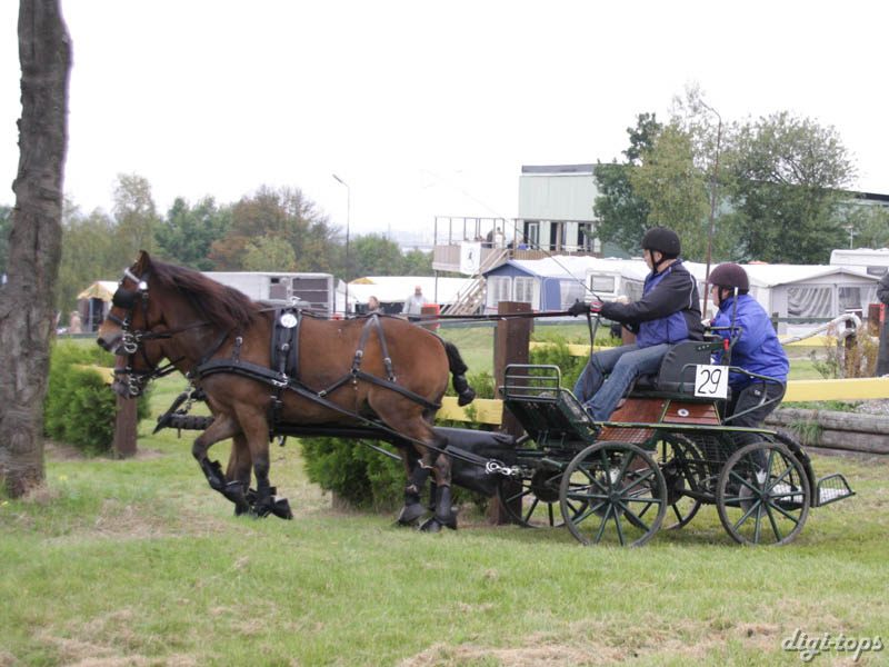 20080920_130448_0064 Ewa Noven swe