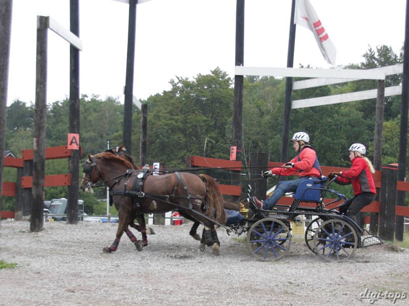 20080920_130450_0065 Rebecca Kristiansen swe