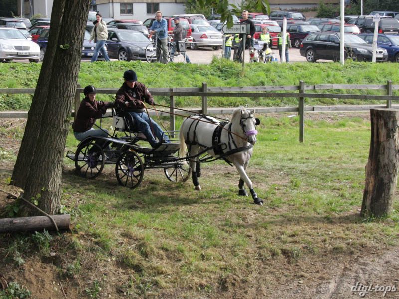 20080920_132616_0079 Fredrik von Schantz fin