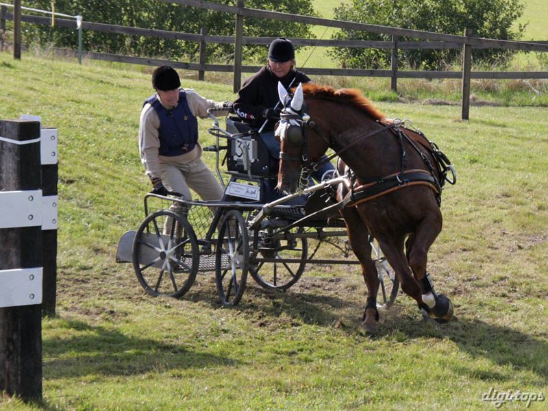 20080920_151024_0232 Arja Mikkonen fin