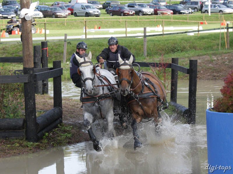 20080920_154804_0319 Anders Hansen den