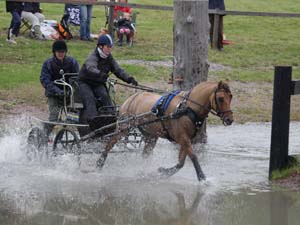 20080920_114948_0030 Susanne Ankermark swe
