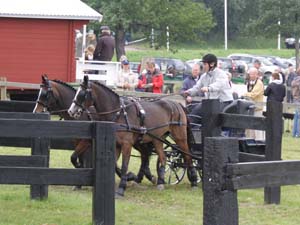 20080920_130252_0060 Marie Nilson swe