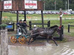 20080920_135818_0114 Ane Weider den