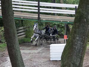 20080920_140912_0133 Tove-Marie Holmasto fin