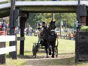 20080920_145130_0192 Gertie Viebke swe