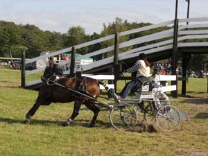 20080920_150138_0213 Jenny Steen swe