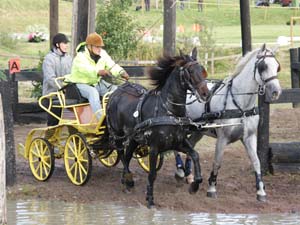 20080920_155836_0375 Jan-Erik Andreasson swe