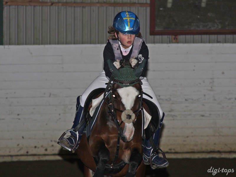 20081109_121336_0018 Cornelia Georgsson Persian Love