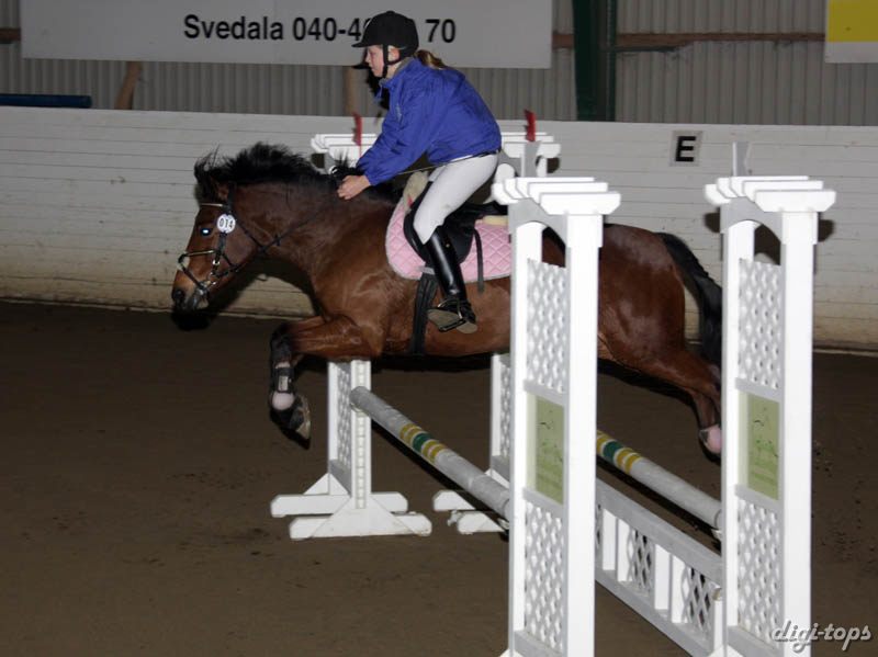 20081109_125406_0048 Lizette Bannersten Night Star