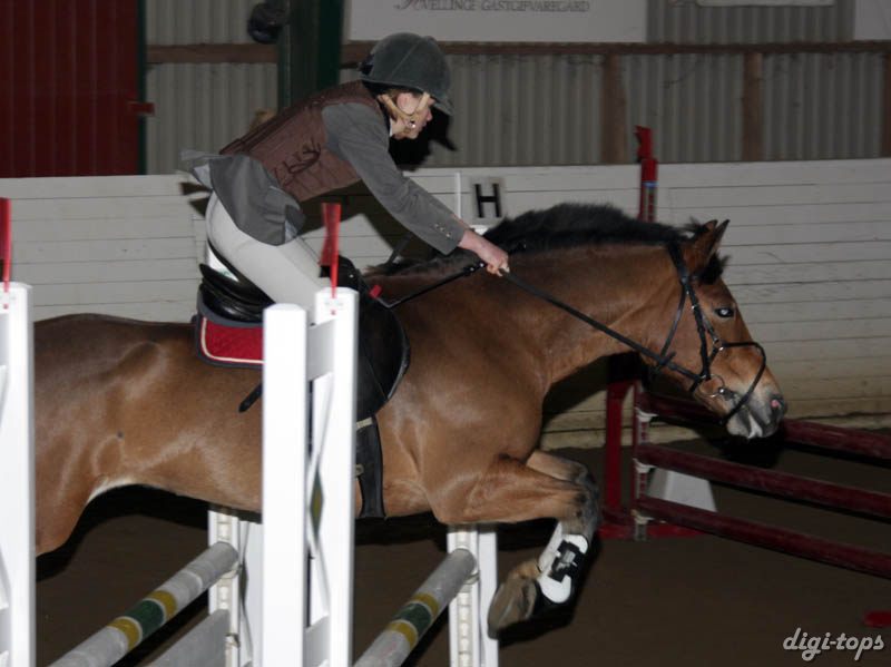 20081109_125552_0050 Sofia Hansson Djessie