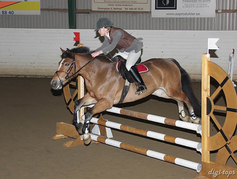 20081109_132608_0095 Sofia Hansson Djessie