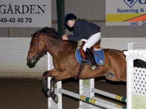 20081109_130506_0066 Petronella Runsteen Sprighty Abloom